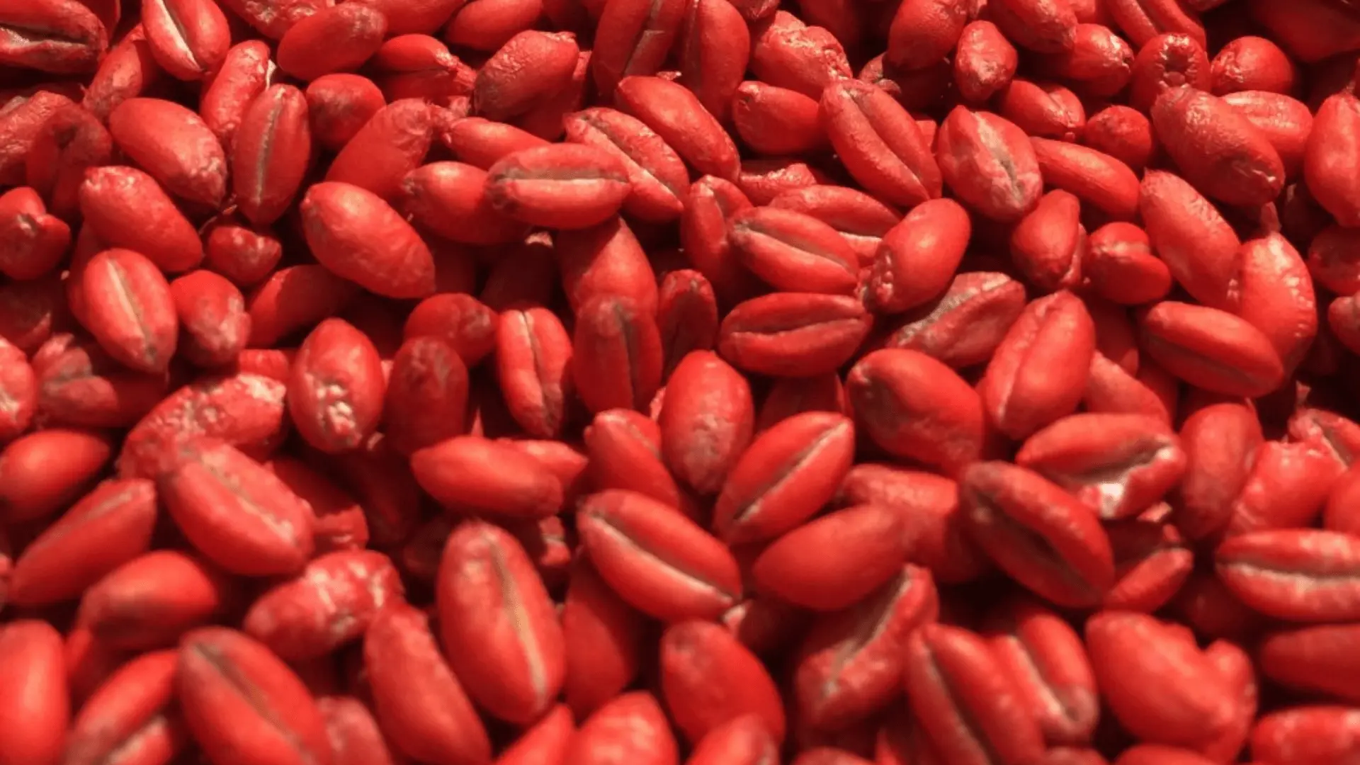 Red Seeds Coating